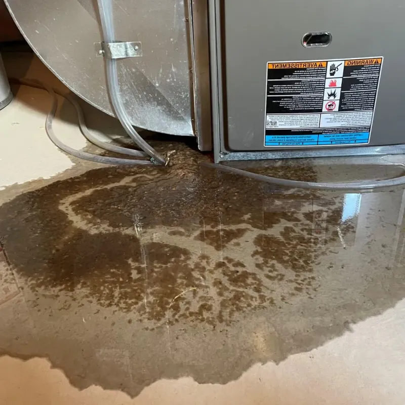 Pipe Burst and Leak Restoration in Guernsey, WY