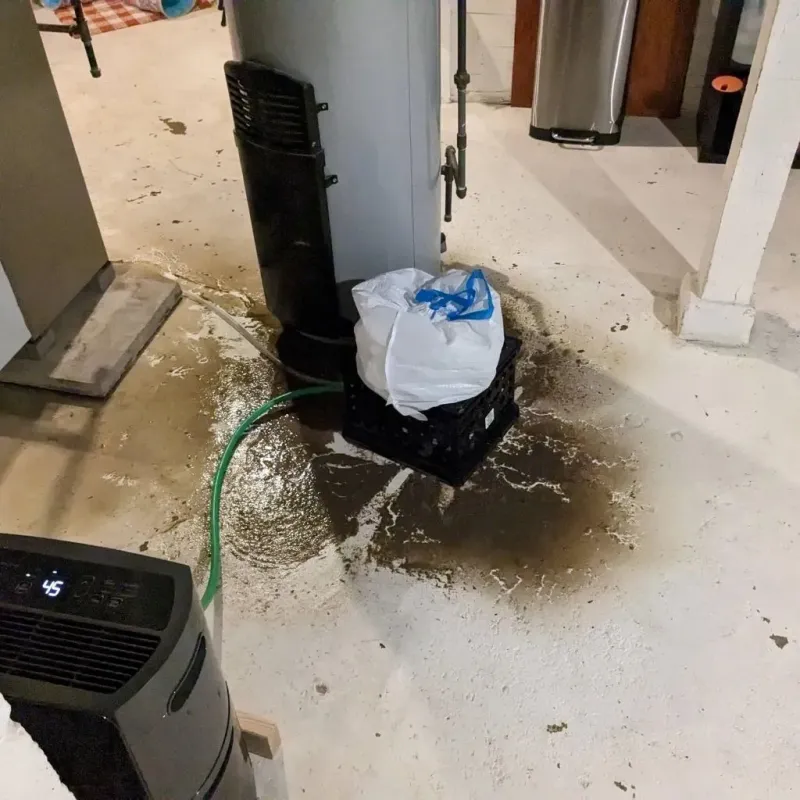 Sewage Backup Cleanup Service in Guernsey, WY